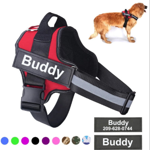The Guardian No-Pull Harness | Reflective & Customizable for Ultimate Safety & Comfort